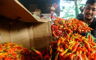 Harga Pangan Hari Ini 4 Mei 2025: Harga Cabai dan Daging Ayam Turun
