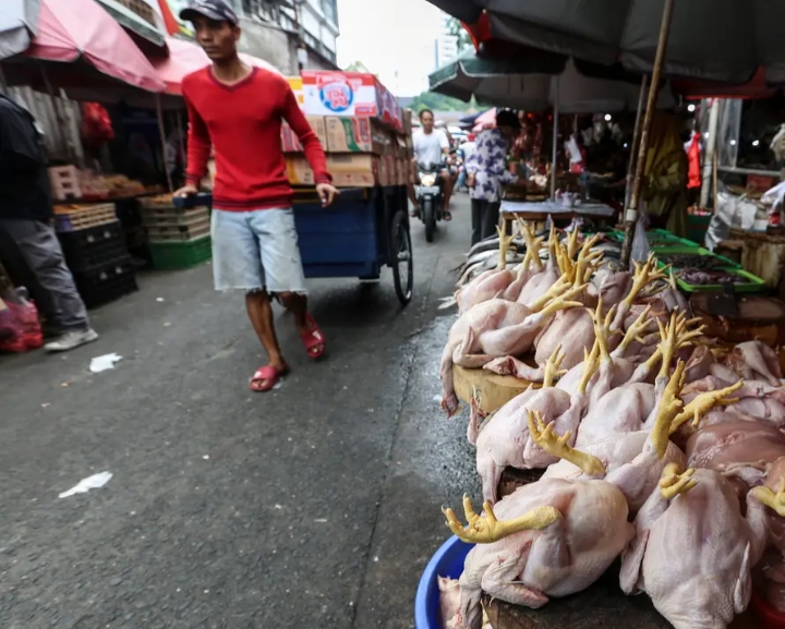 Harga Pangan Hari Ini 21 Mei 2025: Harga Ayam 1 Kg Rp 35.250
