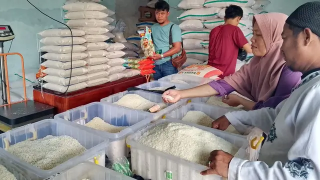Harga Beras 1 Kg (per 10 Juni 2025)