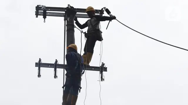 Buah Manis Transformasi, PLN IP Raih Pendapatan Rp 110,58 Triliun