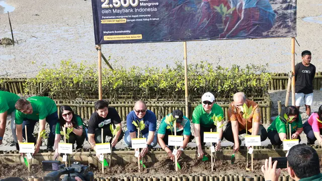 Maybank Indonesia Salurkan Rp 22,1 Triliun untuk Proyek Ramah Lingkungan dan Berkelanjutan