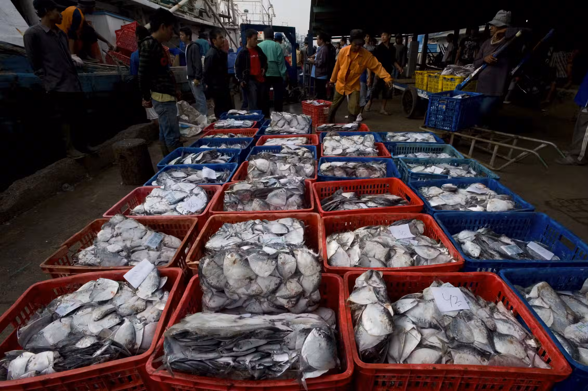 KKP Bikin 244 Produk Olahan Ikan, Peluang Bisnis untuk Ibu Rumah Tangga