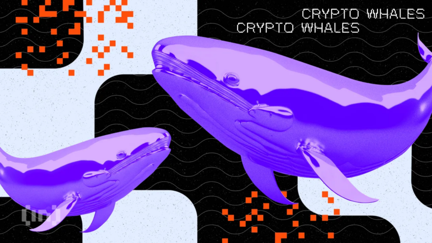 Token XPL Naik 200% Setelah Whale Borong Order Book di Hyperliquid