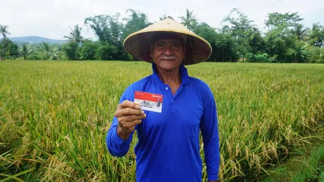 Momentum Hari Tani, BRI Dukung Pertanian Lewat Pembiayaan dan Program Pemberdayaan