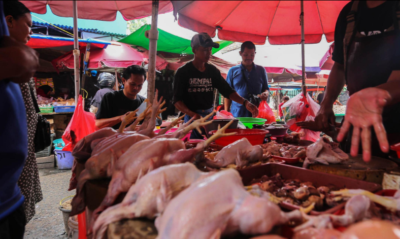 Inflasi Februari 2026 Naik 0,68%, Dipicu Harga Ayam dan Emas