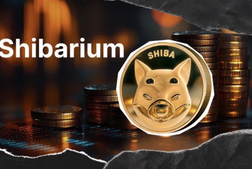 Shiba Inu: Transaksi Shibarium Turun 88%, Apa Penyebabnya?