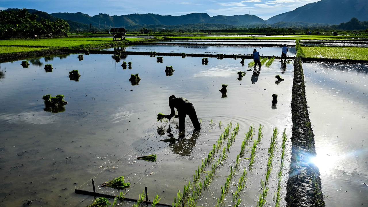 Indonesia Ingin Jadi Negara Kuat di Sektor Ini