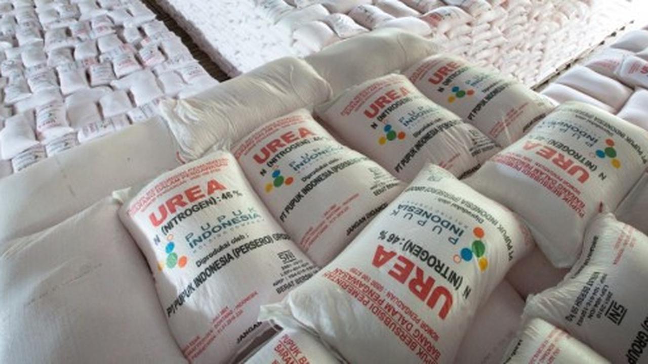 Pupuk Urea Indonesia Jadi Rebutan Banyak Negara, Berapa Produksinya?