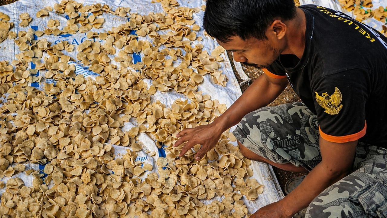 BRI Dorong Desa Sumberejo Pacitan Jadi Penggerak Ekonomi Baru