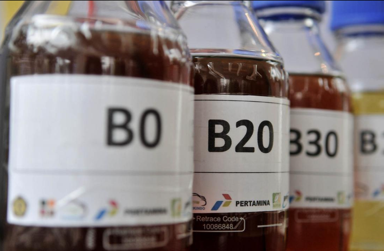 B50 Ditargetkan Hemat Devisa Hingga Rp 139,8 Triliun