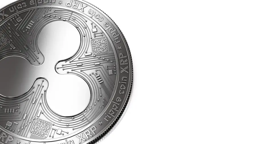 Rayakan Ulang Tahun XRP, David Schwartz Kembali Soroti Visi dan Konsep Dasar di Tengah Ekspansi Ripple ke Washington