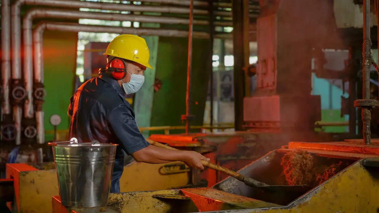 Pabrik Surabaya Tekan Biaya Logistik Minyak Goreng ke Indonesia Timur hingga 40%