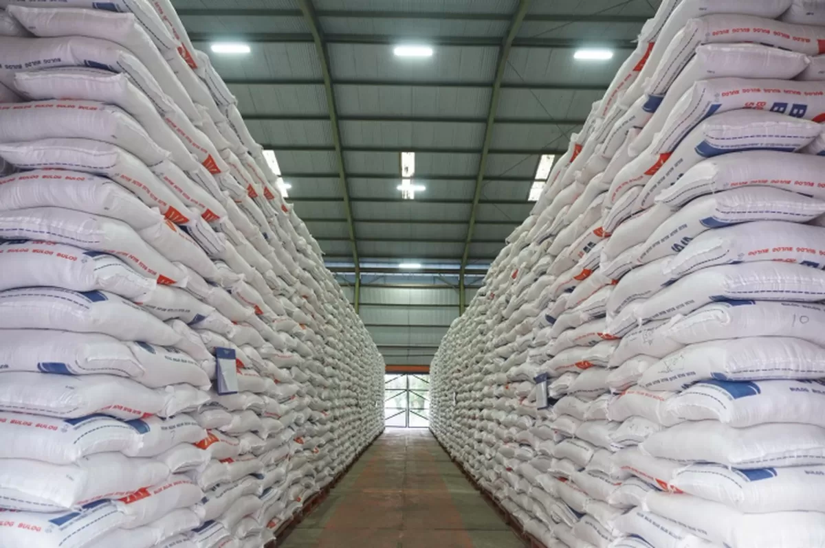 Biaya Produksi Beras Indonesia Tembus Rp14.000 per Kg, Pemerintah Benahi Irigasi dan Pupuk